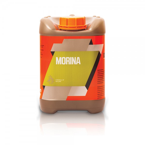 MORINA 10 LT